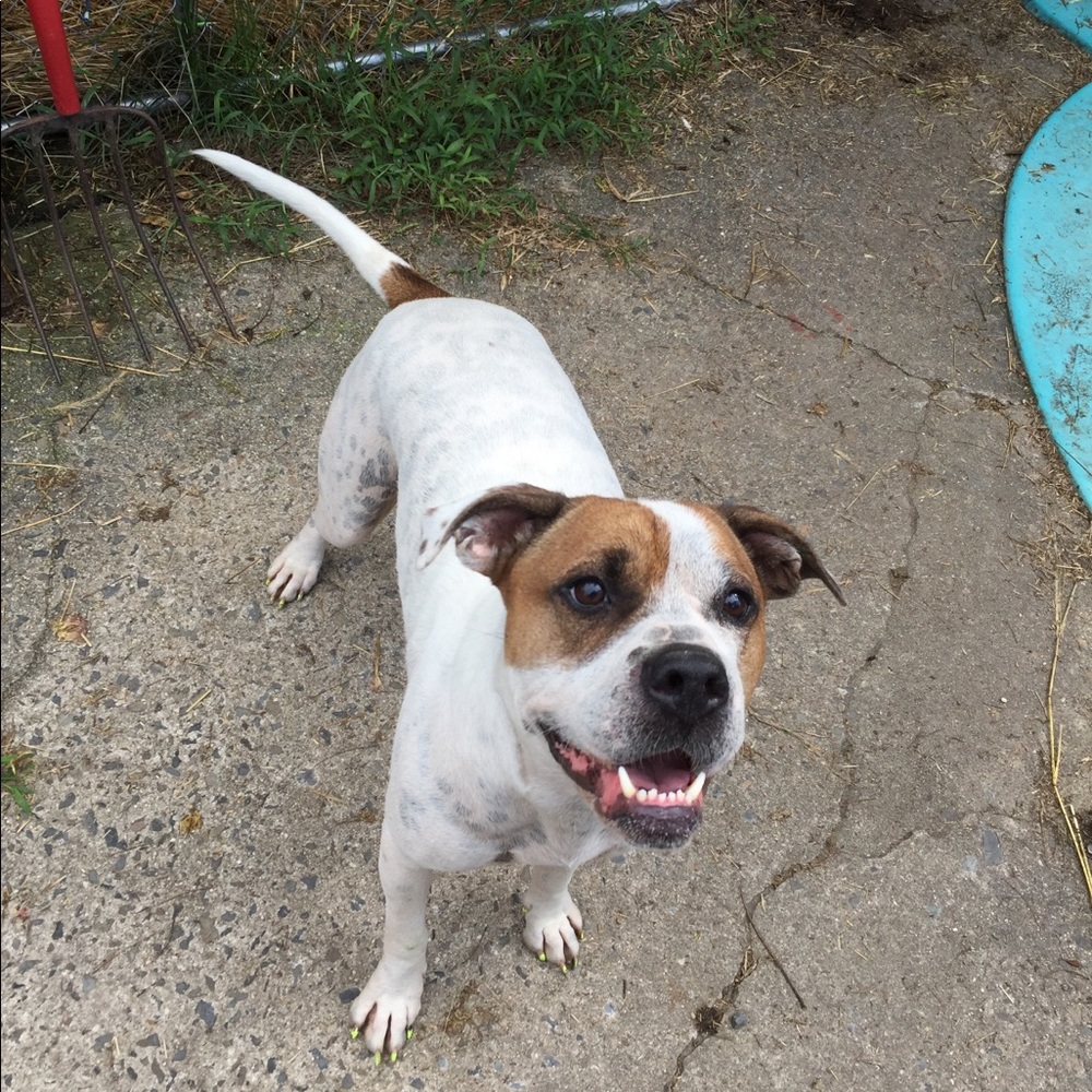 Meet your Posher, Brandy